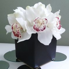 Cymbidium Orchids in Square Vase. Centerpiece or Floral Arrangement ...
