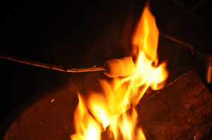 DSC 0207 photo friday: campfire marshmallows