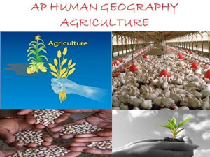 Gallery For > Intensive Subsistence Agriculture Ap Human Geography