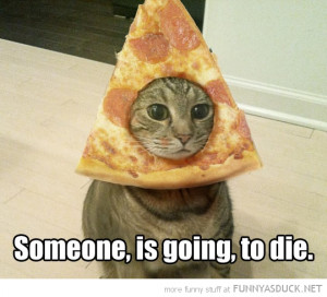 funny pics pictures pic picture image photo images photos lol humor