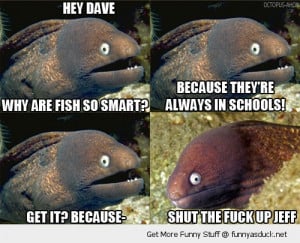 bad joke eel animal fish schools meme funny pics pictures pic picture ...