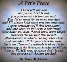 ... , Pet Loss, Animales Quotes, Beloved Pet, Animal Sayings Quotes