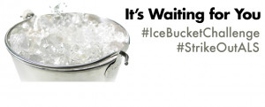 CinemaSalem took the Ice Bucket Challenge! We nominate YOU!