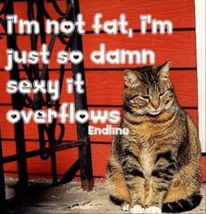 Not fat,I’m Just So Damn Sexy It Overflows ~ Funny Quote