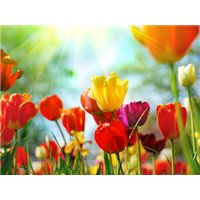 ... these great quotes and sayings about spring time lift your spirits