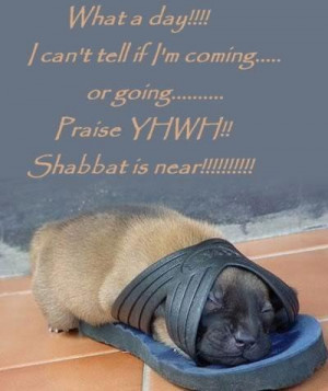 Uploaded to Pinterest