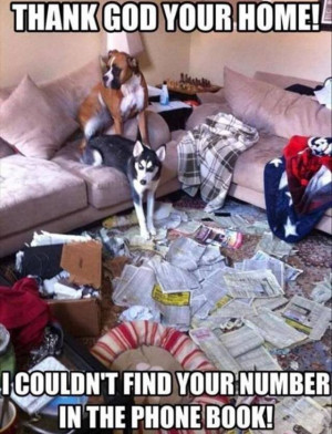 Dogs are in Charge | Funny Pictures and Quotes