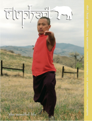 sakyong mipham rinpoche