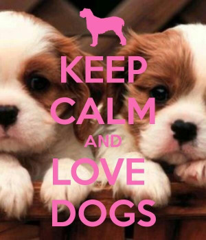 Keep Calm And Love Dogs