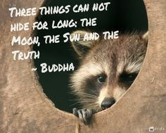 ... can not hide for long: the moon, the sun and the truth - Buddha #quote