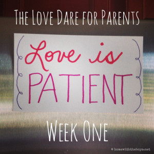 40 day love dare pdf download