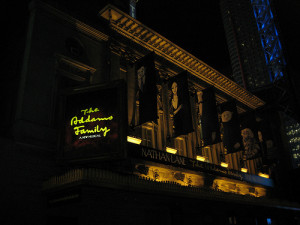 amazon jungle decomposers