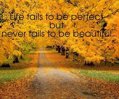 Cute Fall Quotes