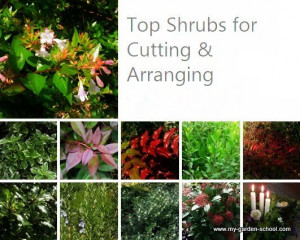 Flower Arrangements Winter