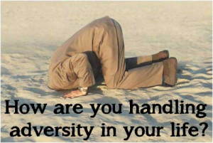 Motivational Adversity Picture Quotes And Sayings By Famous People