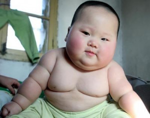 Petit bébé sumo Galerie photo