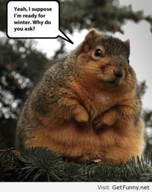 Ready for winter - Funny Pictures, Funny Quotes, Funny Memes, Funny ...