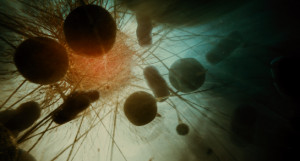 the tree of life movie quotes