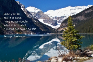 We have been as usual asking the wrong question. It does not matter a ...