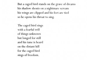 aseaofquotes:Maya Angelou, I Know Why the Caged Bird Sings