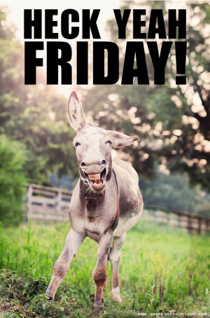 Heck yeah, Friday! #tgif