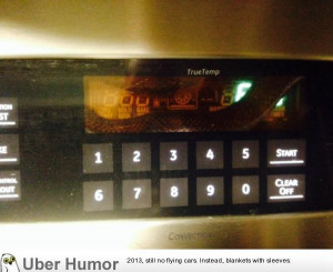There is a guest in my oven control panel!
