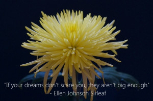 ... dreams don't scare you, they aren't big enough - Ellen Johnson Sirleaf