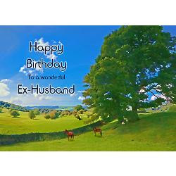 birthday_card_for_exhusband_with_horses_greeting.jpg?height=250&width ...