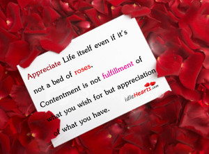 Appreciate Life itself even if it’s not a bed of roses.