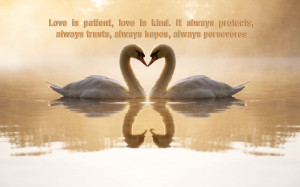 love is patient love is kind it does not envy it does not boast it is ...