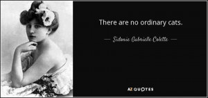 ... Sidonie Gabrielle Colette › There are no ordinary cats