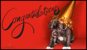 Congratulations, Puppy