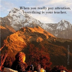 ... and it's up to you to find it. (Socrates; Peaceful Warrior; the Movie