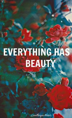 beauty life quotes quotes photography quote beautiful flowers roses ...