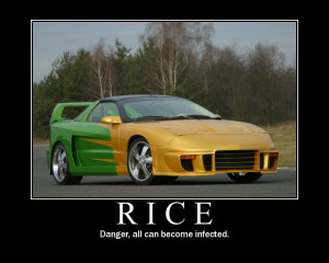 Funny Mustang Quotes Funny stupid. html code