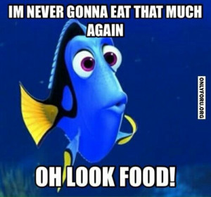 never gonna eat that much again ... oh look food!