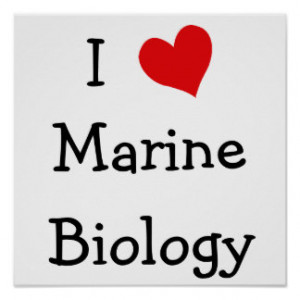 Marine Biology Posters