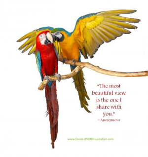 quotes birds, bird quotes.