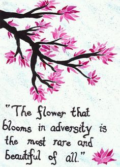 ... flower that blooms in adversity is the most rare and beautiful of all