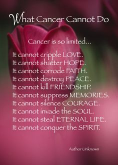 4021 What Cancer Cannot Do - Cards by Sandra Rose