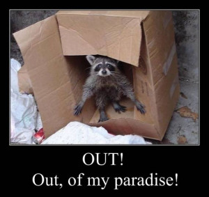 Involving Animals, funny motivational pictures, funny motivational ...