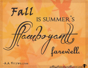 Fall IS SUMMER'S flamboyant farewell