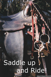 Saddle up...