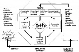 Operationalizing Household Livelihood Security Holistic Approach