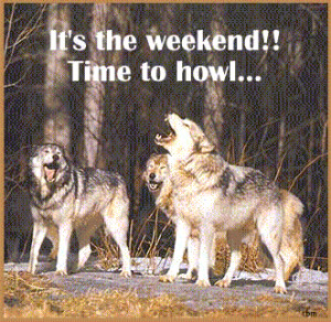 url=http://www.pics22.com/its-the-weekend-time-to-howl/][img] [/img ...