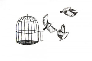 birds, draw, free, freedom