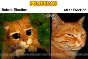 Politician Before After Election