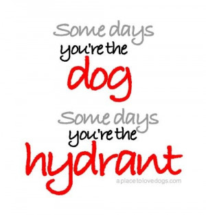 Silly quotes, meaningful, deep, sayings