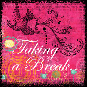 Taking a Break…