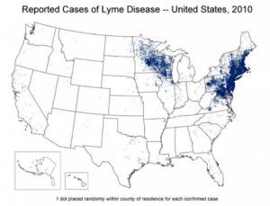 Lyme Disease Map